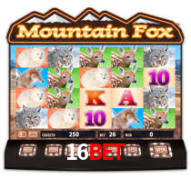 16bet,16bet.org
